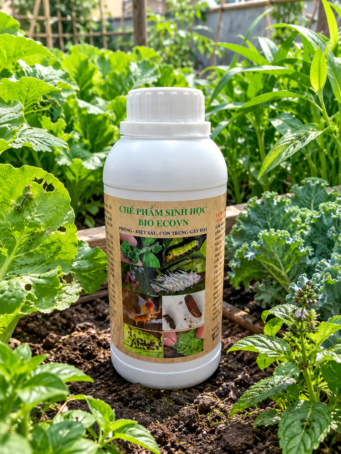 Thuốc trừ sâu sinh học Bio Ecovn